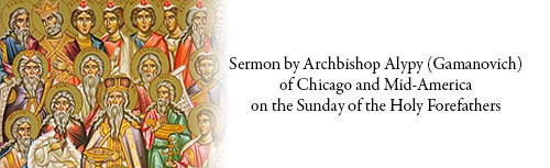 Sermon by Archbishop Alypy (Gamanovich) of Chicago and Mid-America  on the Sunday of the Holy Forefathers